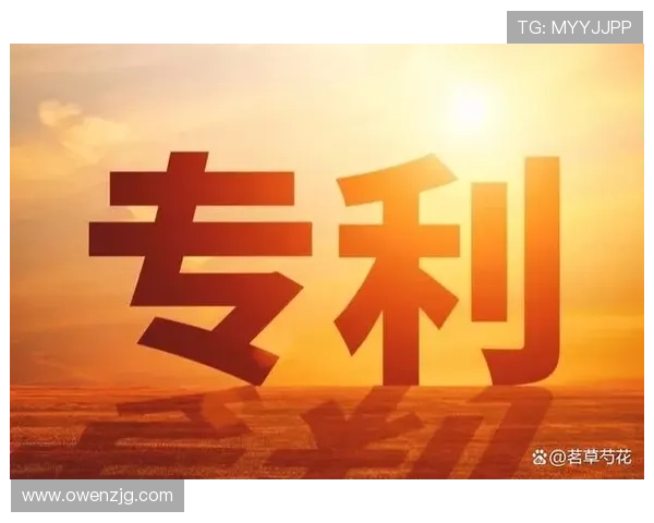 甘肃企业家在新时代下的创新实践与发展路径探索